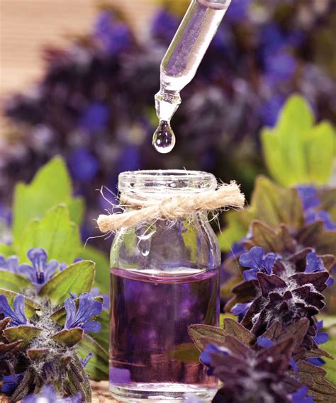 Essential Oils Effective In Fighting Candida Mrsa Natural Awakenings
