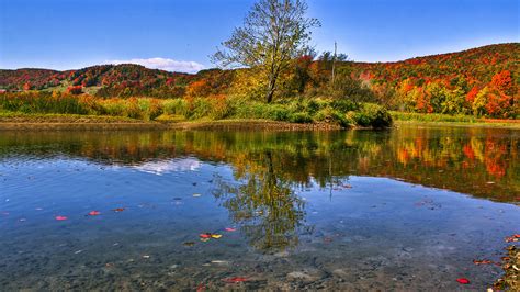 Image Nature Canada Waterville Autumn Quebec Lake Forests 1920x1080