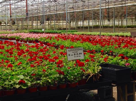 Beginning with a streamlined online shopping experience to shipping directly from the farm to. Gasko's Family Farms - 18 Photos & 41 Reviews - Nurseries ...