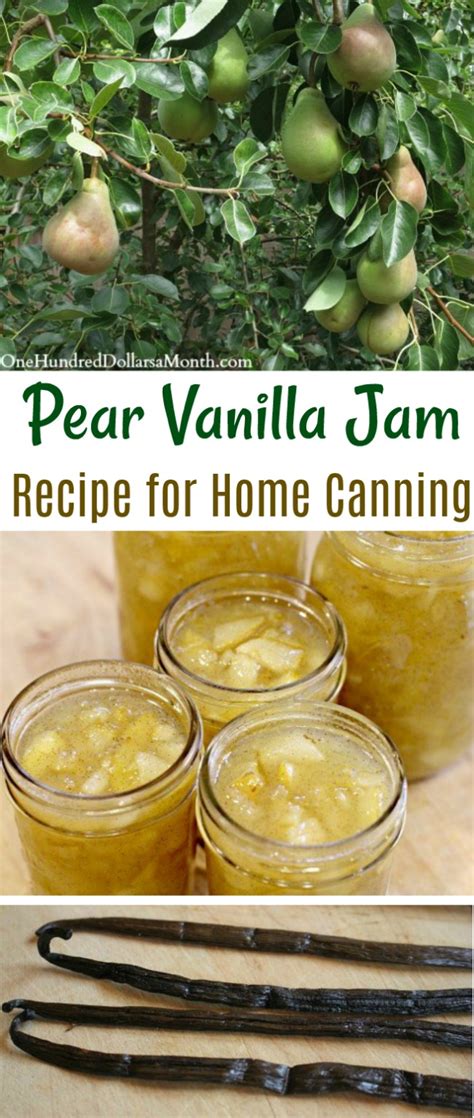 Canning 101 Pear Vanilla Jam Recipe One Hundred Dollars A Month