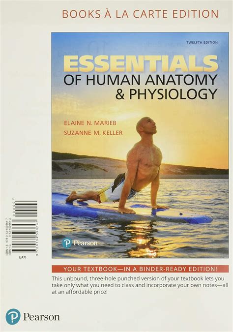 Essentials Of Human Anatomy And Physiology 9780134593647 Medicine