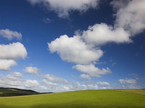 Blue Skies And Green Pastures Wallpapers Hd Wallpapers Id 6276