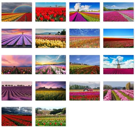 Fields Of Flowers Theme For Windows 10 Download • Pureinfotech