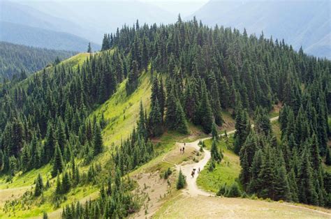 Usbackroads Olympic National Park Hurricane Hill Trail