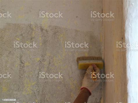 Manual Priming Of A Room Wall With A Brush Stock Photo Download Image