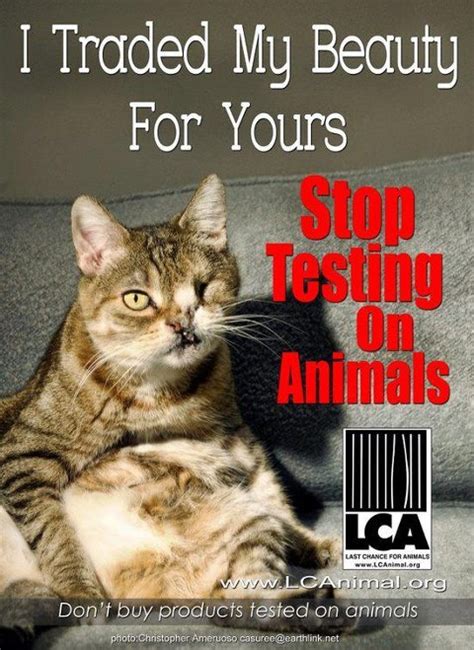Animal Testing Posters - Cosmetic Animal Testing