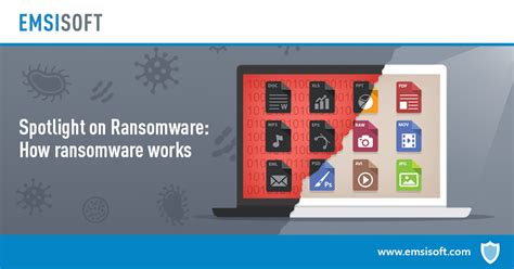 Spotlight On Ransomware How Ransomware Works Emsisoft Security Blog