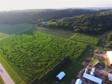 Four Epic Corn Mazes That Are Worth Visiting This Fall Queens County