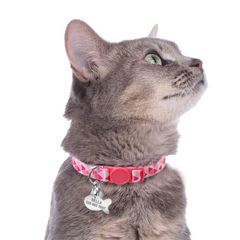 Personalized Cat Breakaway Collar Quick Release Buckle Fish Id Name Tag