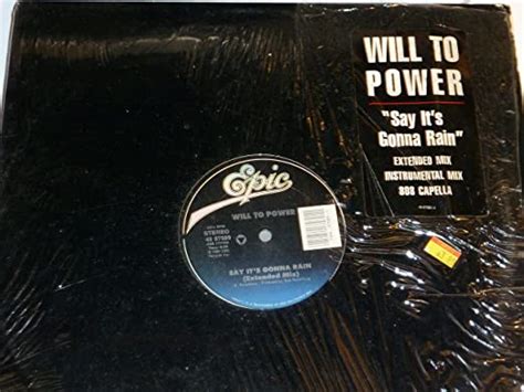 Will To Power Say Its Gonna Rain Music