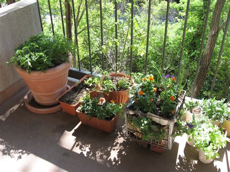 Sherry sun's veggie garden has all the usual edible suspects: 60+ Best Balcony Vegetable Garden ideas 2020 UK - Round Pulse