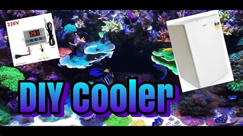 How To Diy Aquarium Chiller Cooler Youtube