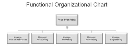 5 Common Business Organizational Structures The Thriving Small Business