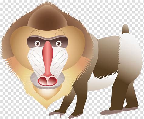 Cercopithecidae Mandrill Others Transparent Background Png Clipart