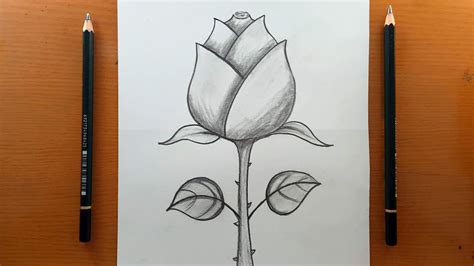 Tutorial Su Come Disegnare Facilmente Le Rose Disegnare Le Rose Passo