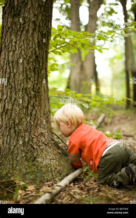 Young Boy Playing In The Woods Stock Photo Alamy