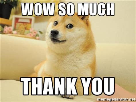 Thank You Dog Meme