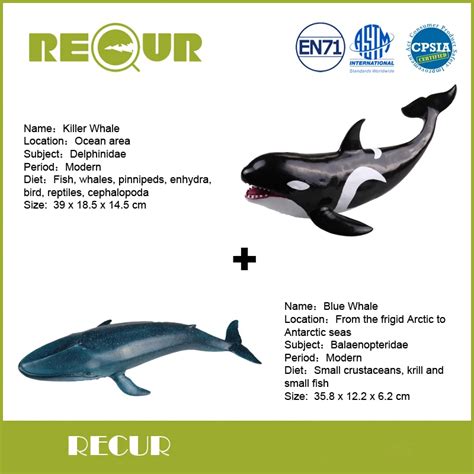 Buy 2 Pcslot Recur Toys Killer Whaleblue Whale Model