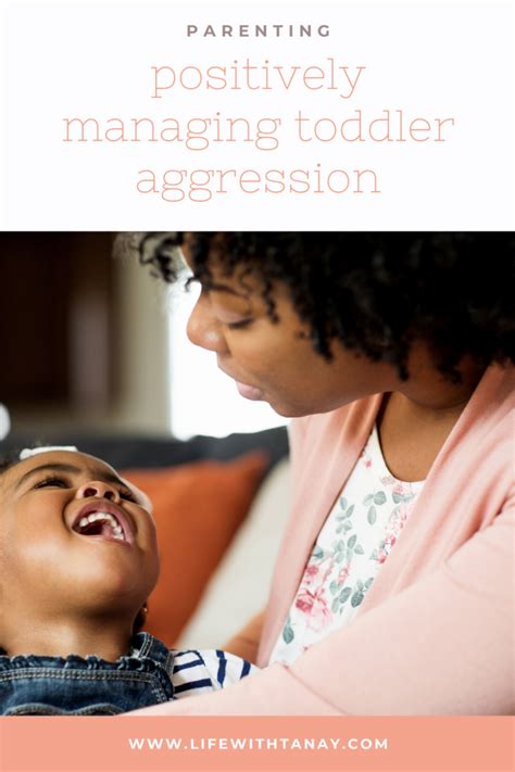 Positive Ways To Manage Aggression In Toddlers Life With Tanay