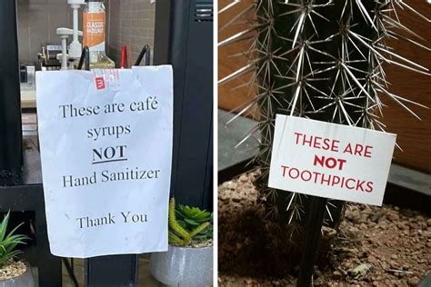 50 Funny Signs That Might Get You Wondering Just What In The World