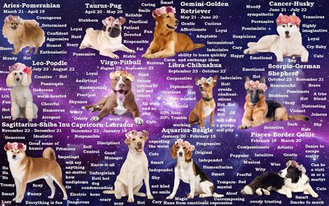 Dog Breeds Zodiac Astrology Signe Astrologique Gémeaux Astrologie