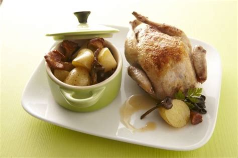977 recettes de cailles à découvrir sur recettes de cuisine. Recette de Caille farcie au foie gras , fricassée de champignons et pommes grenaille en cocotte ...