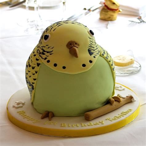 Tabithas 1st Birthday Budgie Cake Bird Cakes Budgies Bird Care