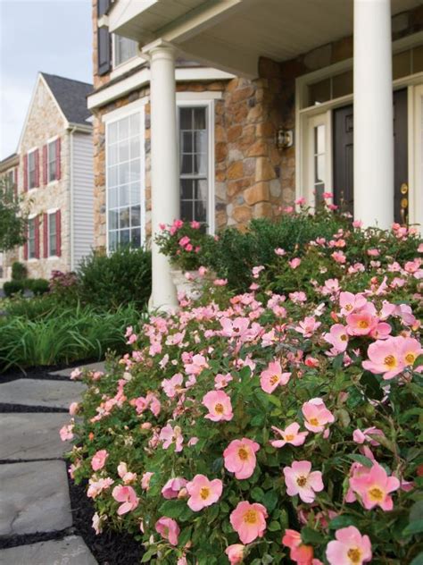 10 Plants To Add Instant Curb Appeal When Youre Selling Your Home