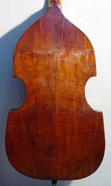 Violone In D Venezia Museum Musical Instruments Instrument Collection Viol Violin Viola