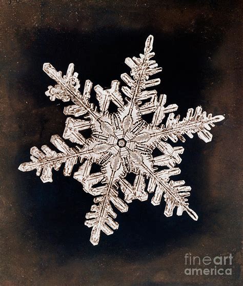 Snowflake Photograph By Metropolitan Museum Of Artscience Photo