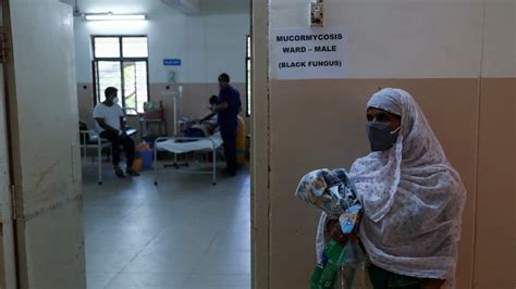 ¿el hongo negro es letal? Se detectó en México el primer caso post COVID-19 del ...