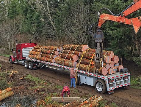 Oregon Logging Services Rieger Professional Loggers