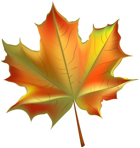 Autumn Leaves Clipart Fall Leaves Bright Autumn Leaves Clipart
