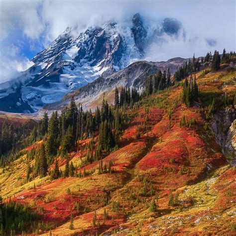 Gorgeous Fall Colors Adorn The Hillsides Along Mount Rainier National