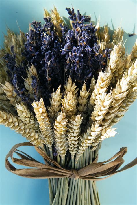 Dried Lavender Bouquet With Wheat Uk Dried Flower