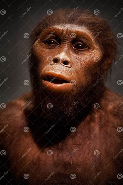 Caveman Editorial Stock Photo Image Of Evolve Sapiens 16882523