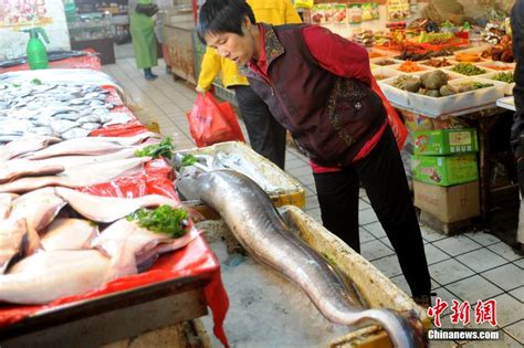 Wow Chinese Fishermen Catches Huge Eel Cn