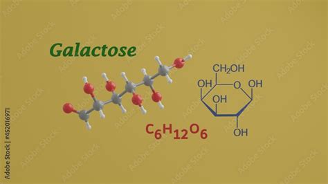 Galactose Reducing Sugar Monosaccharide Science Chemical Structure And