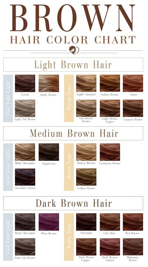 Shades Of Brown Hair Color Chart To Suit Any Complexion Brown Hair Color Chart Brown Hair