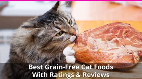 Wet cat foods are a great choice for protein, water, and micronutrients. The Best Grain Free Cat Food - Reviews of the Top Wet and ...