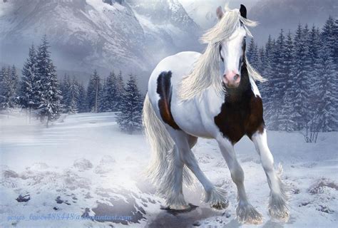 Winter Horses Pictures Wallpaper Wallpapersafari