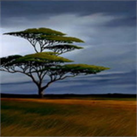 See full list on lionking.fandom.com What kind of tree does Rafiki live in? - The Lion King ...