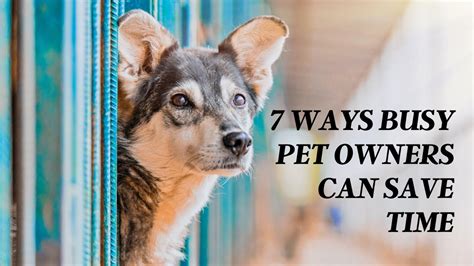 7 Ways Busy Pet Owners Can Save Time - YouTube