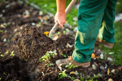 Local Landscaping Jobs How To Find The Right Fit