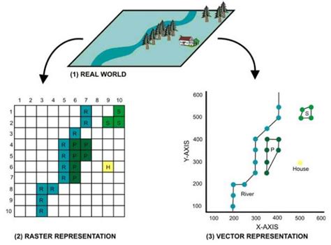 Gis Vector Raster Images Vector And Raster Data Gis Vector And