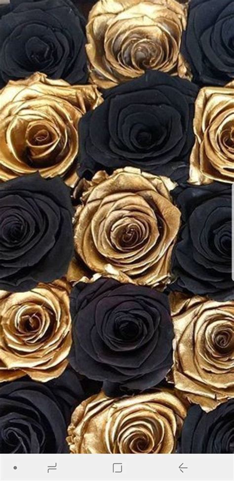 Rose Gold Black Wallpaper