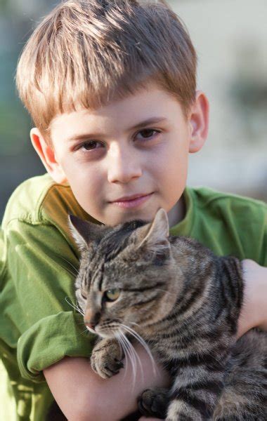 Little Boy With Cat Stock Photo By ©waldru 28019085