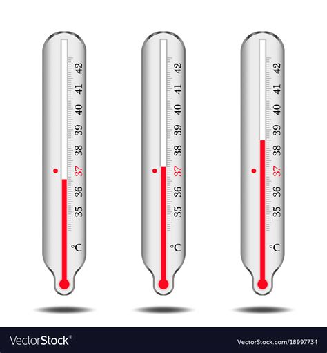 A Set Of Mercury Thermometers Royalty Free Vector Image