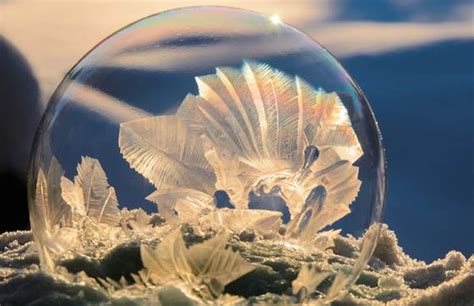 Stunning Ice Crystal Form Inside Frozen Bubble Frozen Bubbles Ice