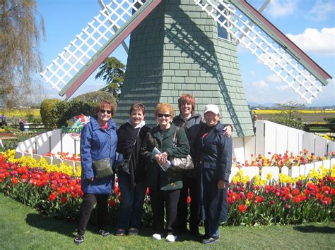 Site info whois traceroute rbl check. Knit-University